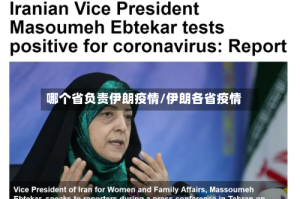 哪个省负责伊朗疫情/伊朗各省疫情