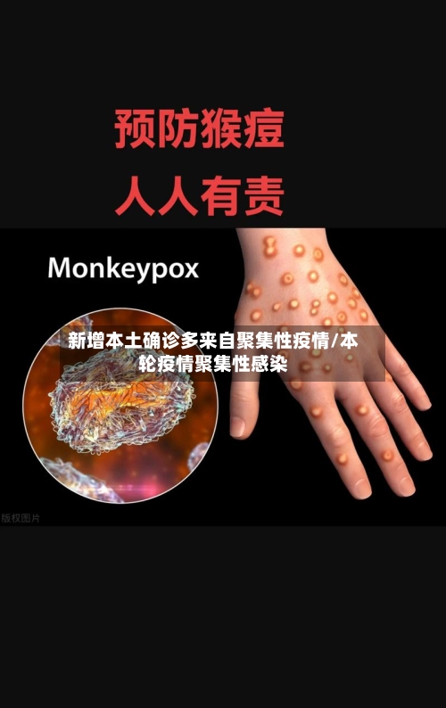 新增本土确诊多来自聚集性疫情/本轮疫情聚集性感染-第1张图片