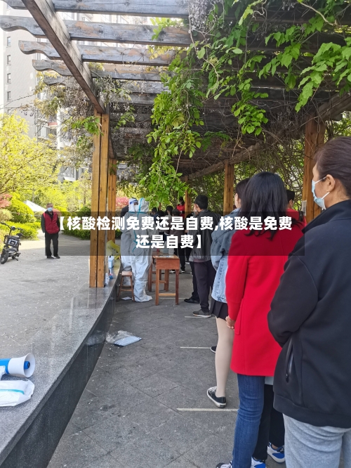 【核酸检测免费还是自费,核酸是免费还是自费】-第2张图片