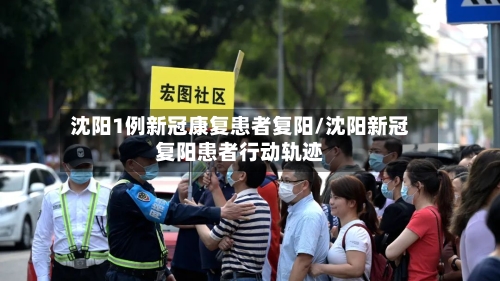 沈阳1例新冠康复患者复阳/沈阳新冠复阳患者行动轨迹-第2张图片