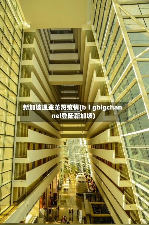 新加坡遇登革热疫情(bⅰgbigchannel登陆新加坡)-第2张图片