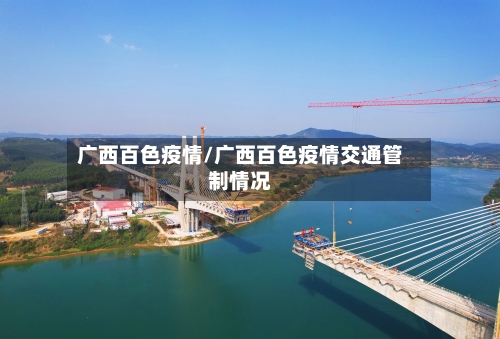 广西百色疫情/广西百色疫情交通管制情况-第2张图片
